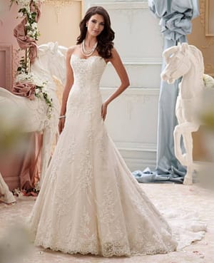 Νυφικό φόρεμα | Indiana | Style 115245 Plus Size