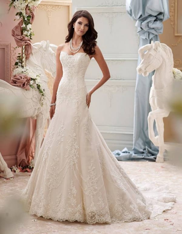 Νυφικό φόρεμα | Indiana | Style 115245 Plus Size
